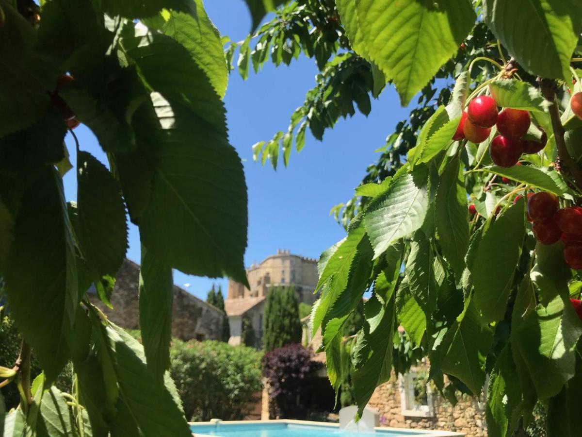 Les Aiguieres En Provence Bed and Breakfast Suze-la-Rousse Buitenkant foto